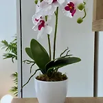 아파트 